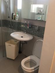 Normanton Park (Enbloc) (D5), Condominium #130866002